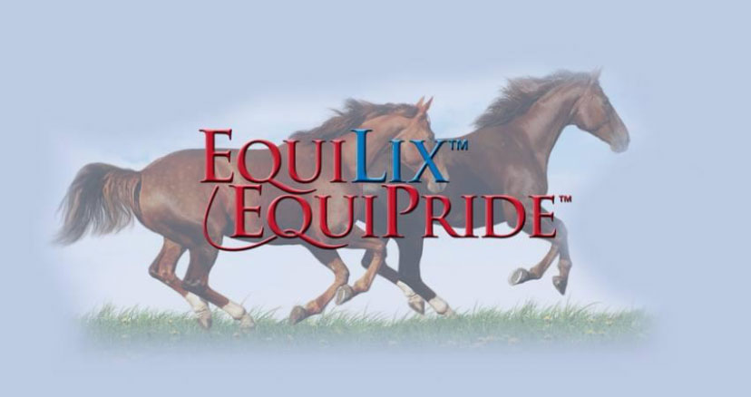 EquiPride EquiLax for sale