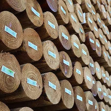 Perfect Fence Posts for sale